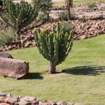 garden01