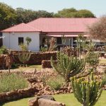 garden02